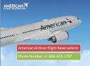 American Flight Reservation logo